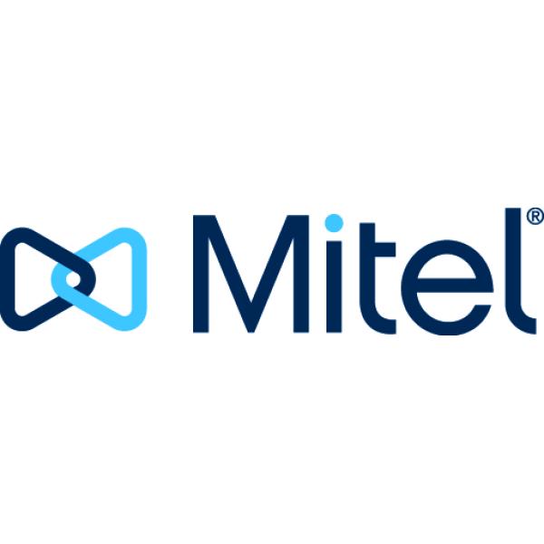 Mitel OpenScape Business M.2 NVMe SSD Speicherkarte 256 GB, L30251-U600-G667 (4050026031799)
