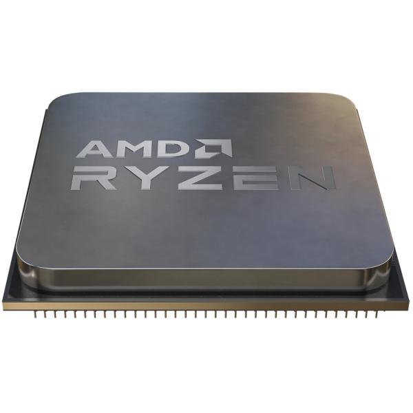 AMD Ryzen 5 9600 Cache Tray 100-000000718