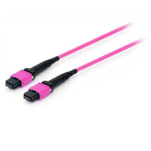 Equip LWL Patchkabel MTP->MTP 3.00m Multimode OM4 TypA 25555317