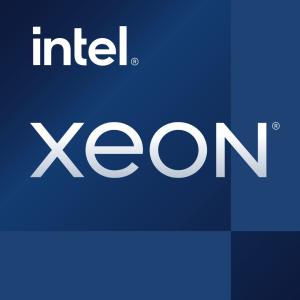 Intel S1200 XEON E-2334 Tray CM8070804495913