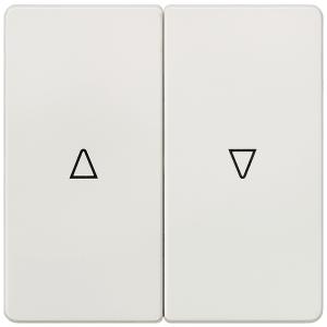 Wippe 2fach mit Symbol Auf/Ab SIEMENS 5TG6214 (4001869233031)