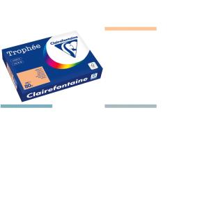 Multifunktionspapier Trophee, A4, billardgrün Clairefontaine 1991PC (3329680199109)