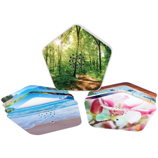 Klangbox Sounds of Nature Box, 4 Naturklänge, Display OLYMP 8002 (4030152080021)