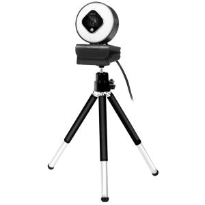 Full-HD-USB-Webcam mit Dual-Mikrofon, schwarz LogiLink UA0384 (4052792064766)