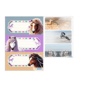 Buchetiketten 'Delfine', 76 x 35 mm HERMA 5579 (4008705055796)