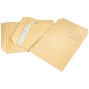 Versandtaschen, 19, 190 x 275 mm, braun, ohne Fenster GPV 4254 (3250650042548)