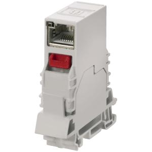 Telegärtner STX Tragschienen Verbinder inkl. RJ45 Modul B 100007436 (4018359341176)