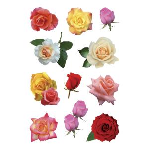 Sticker DECOR 'Rosenblüten bunt' HERMA 3308 (4008705033084)