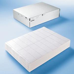 Folien-Etiketten DATAPRINT, 203 x 297 mm, weiß HERMA 58101 (4008705581011)