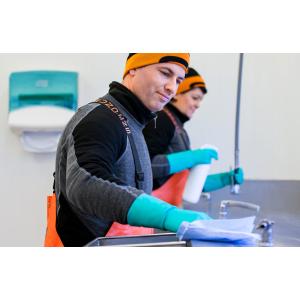 TORK Reinigungstücher, langlebig, 1-lagig, 410 x 355 mm tork 90479 (7322541182308)