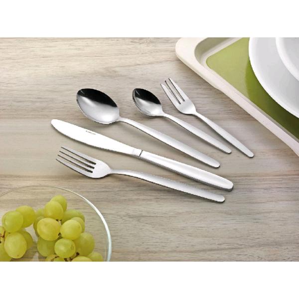 201-teiliges Besteck MONITA, aus Chrom-Edelstahl Esmeyer 137-200 (4007796021093)