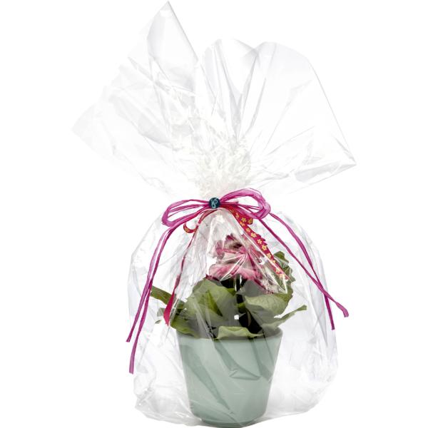 Geschenkfolie, 20 my, unbedruckt, 700 mm x 10 m folia 299/70/10 (4001868299717)