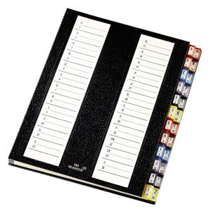 Pultordner Serie 11, DIN A4, 24 Fächer, schwarz emey 11.24 NOI (3170181124028)