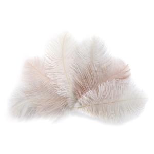 Straußenfedern, Länge: ca. 170 mm, farbig sortiert folia 54119 (4001868115635)