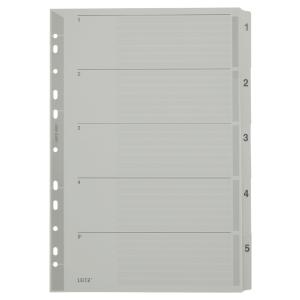 Mylarkarton-Register, Zahlen, A4, 1-12, 12-teilig, grau LEITZ 4325-00-00 (4002432309306)