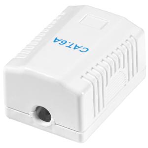 LogiLink Anschlussdose Kat.6A mit Aufputzbox, 2x RJ45, weiß NP0097 (4052792076424)