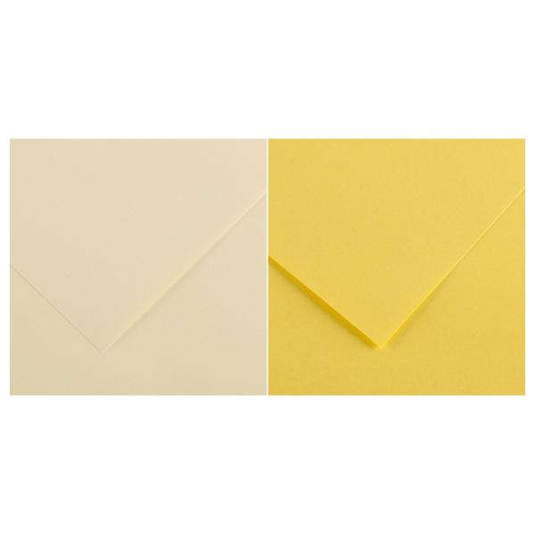 Tonpapier Vivaldi, 500 x 650 mm, moosgrün CANSON C200040383 (3148950403834)