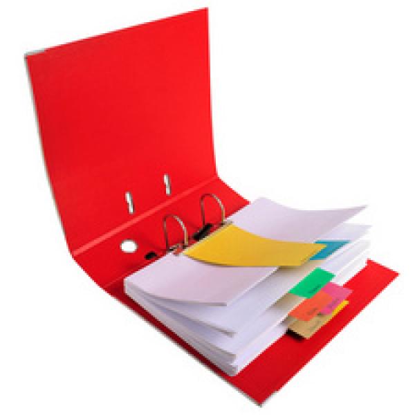 Trennstreifen, trapezförmig, Karton, chamois EXACOMPTA 13575E (3130630135753)