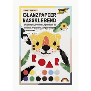 Glanzpapier-Bastelheft, 140 x 200 mm, 12 Blatt folia 700 (4001868007008)