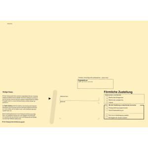 Zustellungsumschlag, DIN lang, mit Fenster, gelb RNK Verlag 2044/100 (4002871204415)