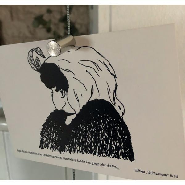 Neodym-Stabgreifermagnet, 20 mm, Haftkraft: 13 kg MAUL 6185296 (4002390083591)