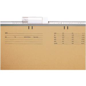 Vollsichtreiter, Kunststoff, (B)60 mm, transparent LEITZ 6124-00-00 (4002432312658)