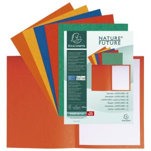 Aktendeckel, DIN A4, farbig sortiert EXACOMPTA 220000E (3288582200002)