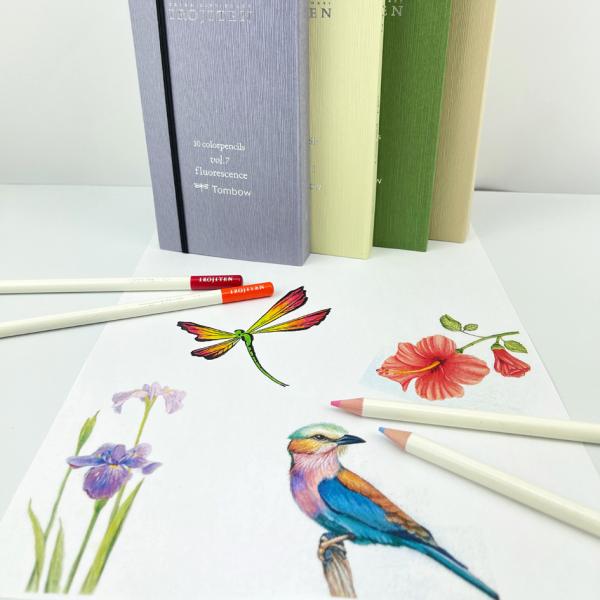 Tombow Buntstift IROJITEN 'Volumen 2', 10er Set TOMBOW CI-RV-10C (4003198856639)