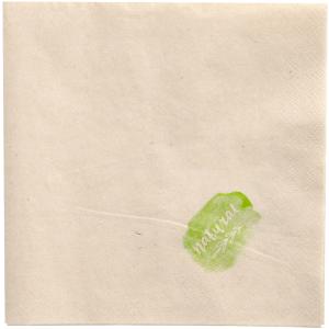 Lunch-Servietten, 330 x 330 mm, 2-lagig, natur PAPSTAR 89154 (4002911824139)