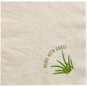 Lunch-Servietten, 330 x 330 mm, 2-lagig, natur PAPSTAR 89155 (4002911364468)