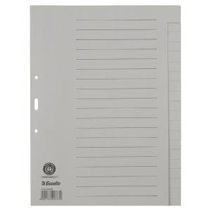 Register blanko A4, Papier 20 Blatt chamois Esselte 621006 (4001536003370)