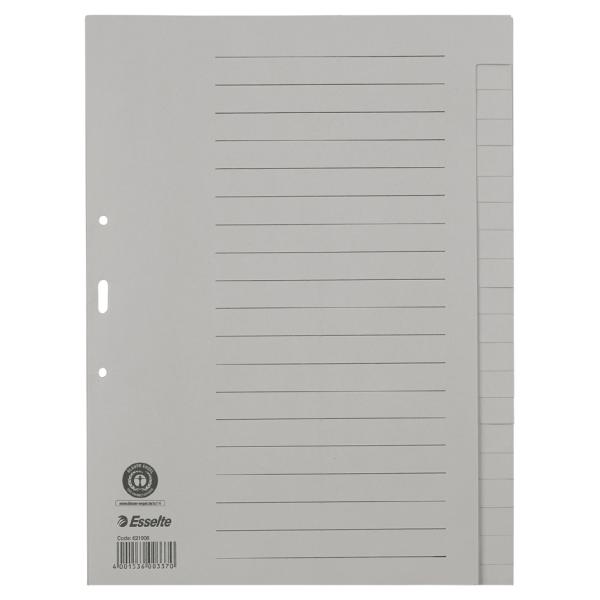 Register blanko A4, Papier 20 Blatt chamois Esselte 621006 (4001536003370)