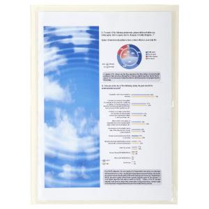 Selbstklebetaschen, DIN A4, kristall transparent EXACOMPTA 56310E (3130630563105)