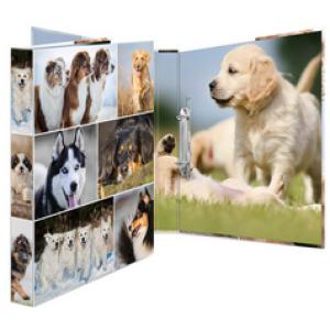 Ringbuch 'Animals' - Pferde, DIN A4, 2-Ring-Mechanik HERMA 19429 (4008705194297)