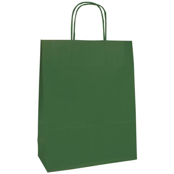 Papier-Tragteasche, grün, groß Clairefontaine 395710C (3329683957102)