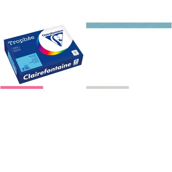 Multifunktionspapier Trophee, A4, eosin Clairefontaine 2209C (3329680220902)