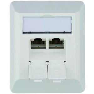 Telegärtner Anschlussdose AMJ45 Kat.6A (tief), 2 x RJ45 100023005 (4018359245627)