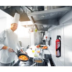 REINOLD MAX Feuerlösch-Spray 'STOP FIRE', 3 x 750 ml 440403 (4045914440005)