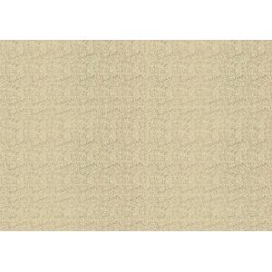 Geschenkpapier 'Holo gold', auf Rolle SUSY CARD 40047546 (4050498317964)