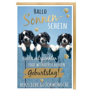 Geburtstagskarte Humor 'Mischlingshunde' SUSY CARD 40055374 (4050498335166)