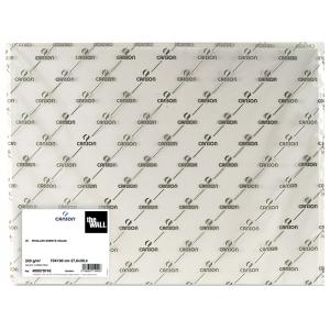 Zeichenpapier 'The WALL', 700 x 1.000 mm, 200 g/ qm CANSON C400079743 (3148950119919)