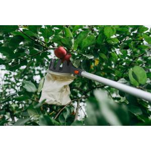 Obstpflücker, mit Teleskopstiel, silber/ orange Bradas KT-V1531-375 (5907544440710)