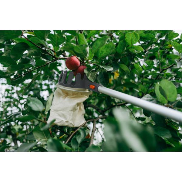 Obstpflücker, mit Teleskopstiel, silber/ orange Bradas KT-V1531-375 (5907544440710)