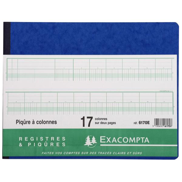 Spaltenbuch, 20 Spalten auf 2 Seiten, 24 Zeilen EXACOMPTA 6200E (3130632062002)
