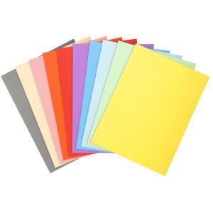 Aktendeckel FOREVER 250, DIN A4, farbig sortiert EXACOMPTA 410000E (3288584100003)