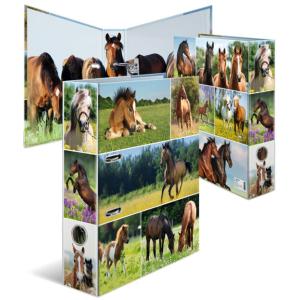 Motivordner 'Tierwelten', DIN A4, Waldtiere HERMA 7202 (4008705072021)