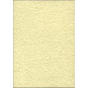 Struktur-Papier, A4, 200 g/ qm, Perga champagne sigel DP655 (4004360959042)
