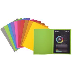 Aktendeckel ROCK'S, DIN A4, 210 g/ qm, sortiert EXACOMPTA 217001E (3288582170015)