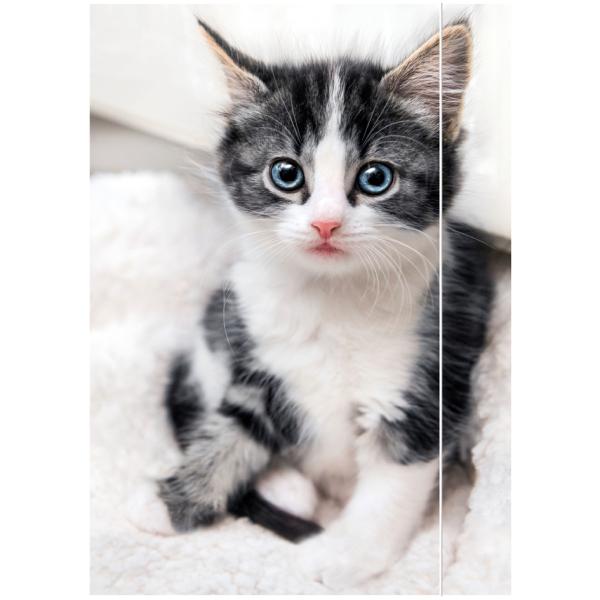 Zeichnungsmappe 'Katze', DIN A3 RNK Verlag 45331 (4002871453318)