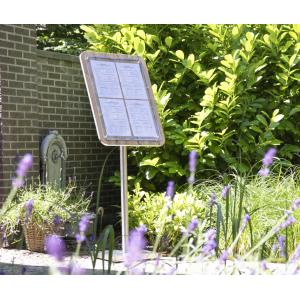 Schaukasten GLASS STAR, 1 x DIN A4 Seite, eiche Securit MCS-A4-OAK (8719075281550)